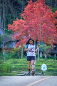 BIB: 8017
                            <button type="button" onclick="openModal(19242191)" class="btn btn-primary btn-sm float-right btn-popup" data-toggle="modal" data-target=".modal-high-quality">
                        <i class="fas fa-shopping-cart"></i> Add to Cart
                    </button>
                                            <button type="button" onclick="isThisMe(19242191, true)" class="btn btn-success btn-sm float-right btn-popup btn-isme hidden" data-toggle="tooltip" data-placement="bottom" title="นี่คือรูปของคุณใช่ไหม คลิกที่นี่เพื่อเอาเข้าอัลบั้ม">
                        <i class="fas fa-plus"></i> Add to album
                    </button>
                    <button type="button" onclick="isThisMe(19242191, false)" class="btn btn-warning btn-sm float-right btn-popup btn-isnotme hidden">
                        <i class="fas fa-ban"></i> Remove from album
                    </button>